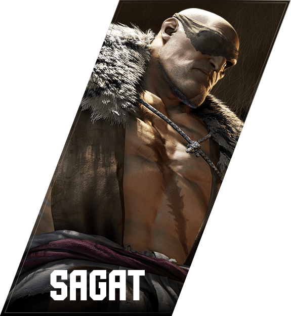 Sagat